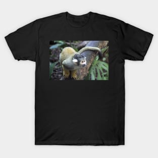 Spider Monkey T-Shirt